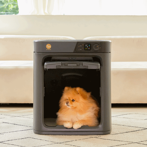 페페 펫 드라이룸 (DR-100PRO) (색상 4중 1택) 렌탈 상품 이미지