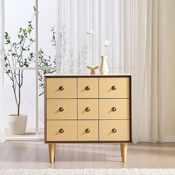 렌탈(소유권이전) (보람피플 올인원598 2구좌) 헨지디자인 플레르 약장 (썸머셋골드 or 코스탈블루) 상조가전 플레르 약장_2구좌 렌탈 상품 대표 이미지