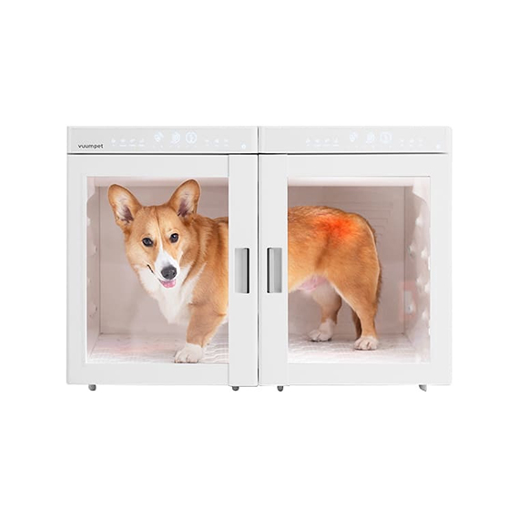 렌탈(소유권이전) (보람피플 올인원598 2구좌) 붐펫 단델리온 듀얼 상조가전 단델리온 듀얼_2구좌 렌탈 상품 대표 이미지