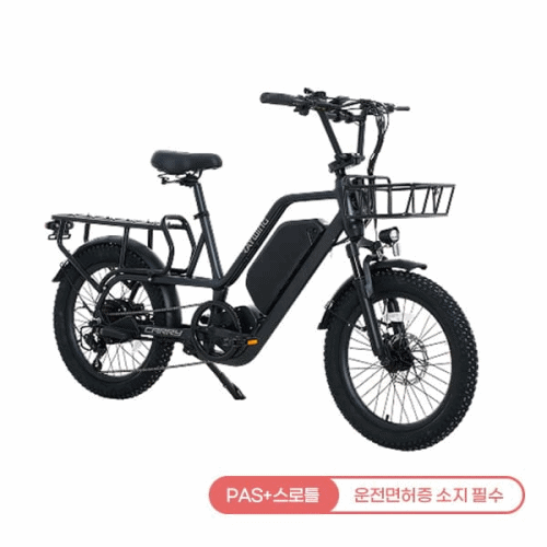 CARRY_20A 레이윙 캐리 전기자전거 (팬텀블랙 or 펄화이트) (CARRY_20A) 렌탈 상품 대표 이미지