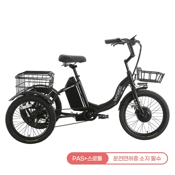 CARRYEZ_25A_BK 레이윙 캐리 이지 전기자전거 블랙 (CARRYEZ_25A_BK) 렌탈 상품 대표 이미지