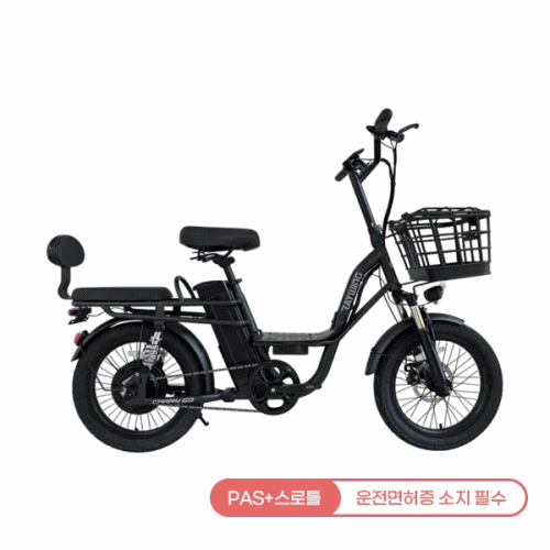 CARRYME_18.2A 레이윙 캐리 미 전기자전거 (블랙 or 크림 베이지) (CARRYME_18.2A) 렌탈 상품 대표 이미지