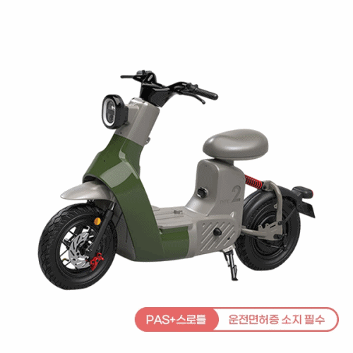 레이윙 타입2 전동스쿠터 (그린 or 옐로우) (TYPE 2) 렌탈 상품 대표 이미지