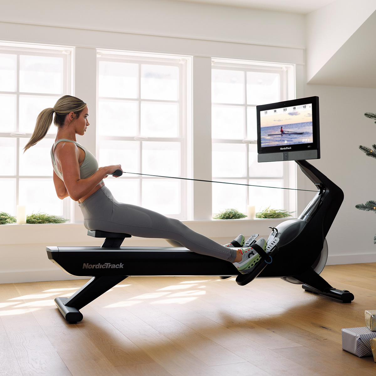 로잉머신_RW900 노르딕트랙 로잉머신 RW900 렌탈 상품 대표 이미지